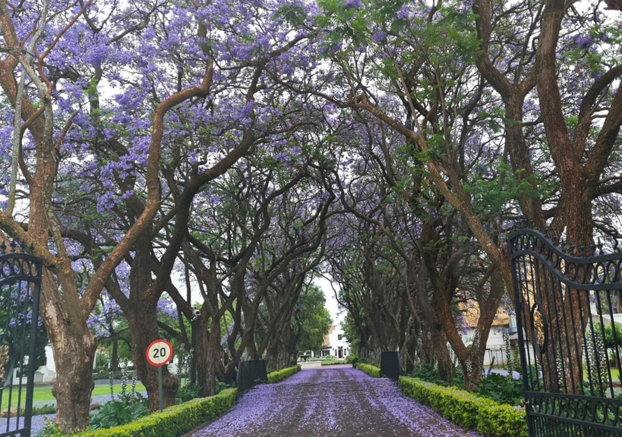 Kievits Kroon Gauteng Wine Estate Pretoria Ngoại thất bức ảnh
